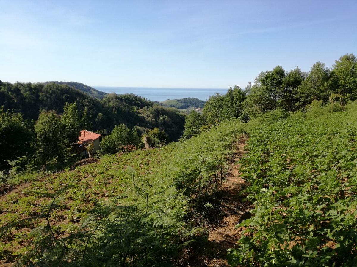 Agriturismo Verdure Naturali